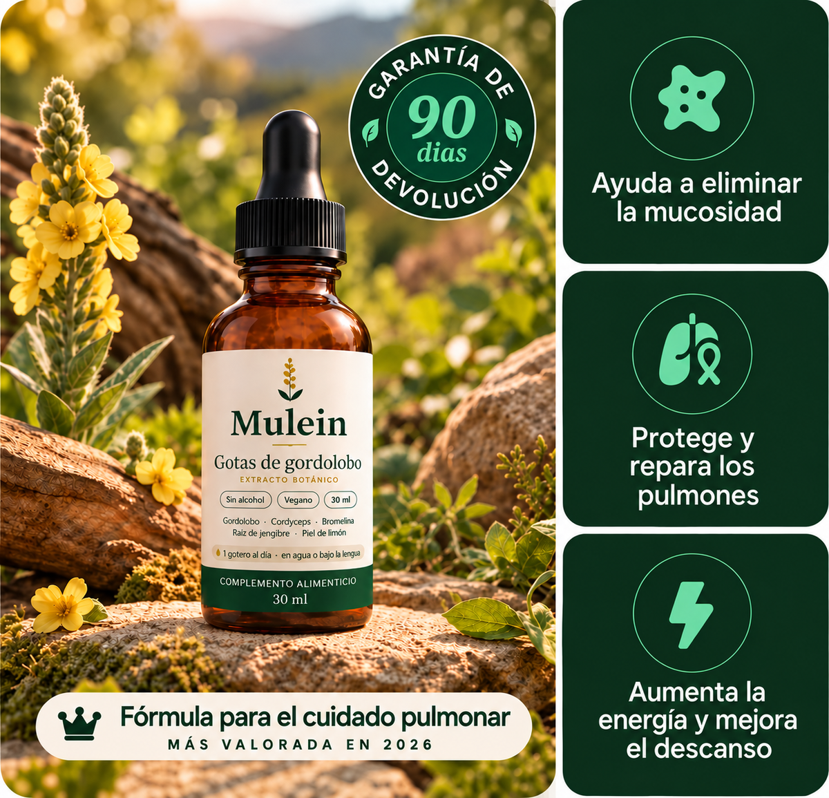 Extracto Líquido de Muleina